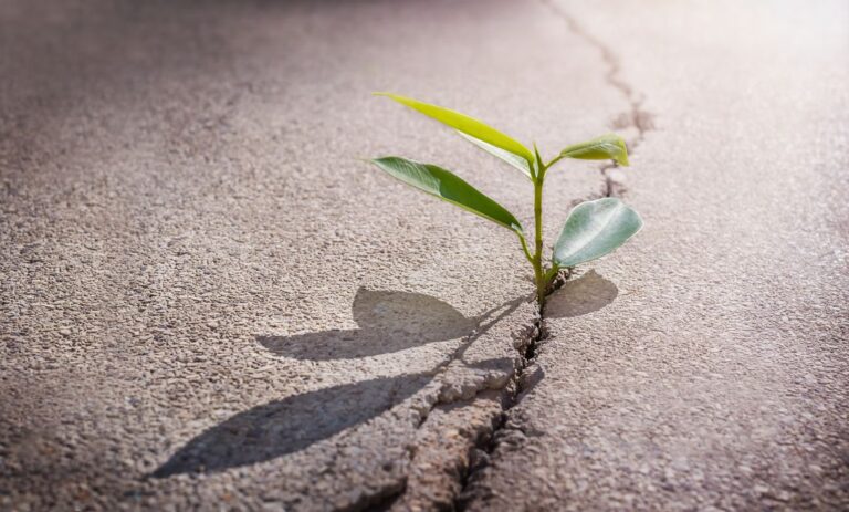 Growth Mindset: Pathways to Growth